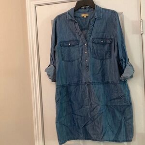 Princess Vera Wang Blue Long Sleeve Polo Collar Dress